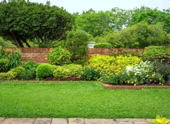 landscaping services Rocky Mount